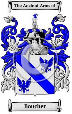 Beauche Name Meaning and Beauche Family History at .